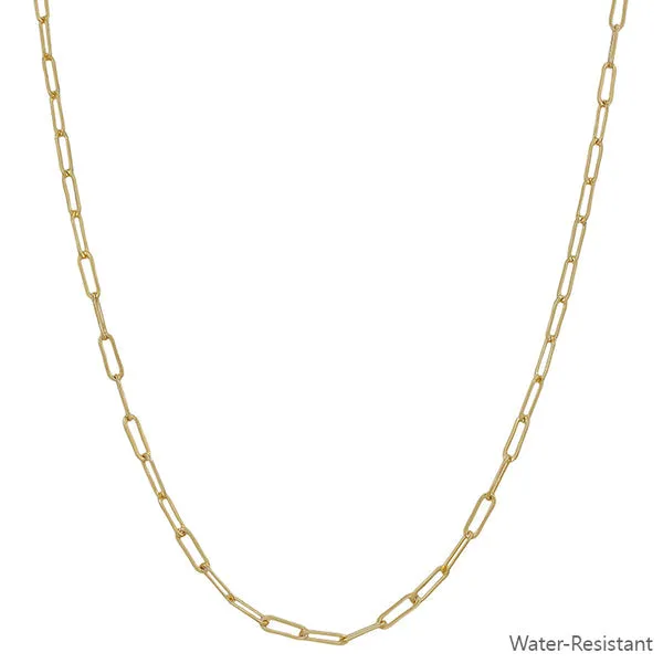 Gold Clip Chain Necklace