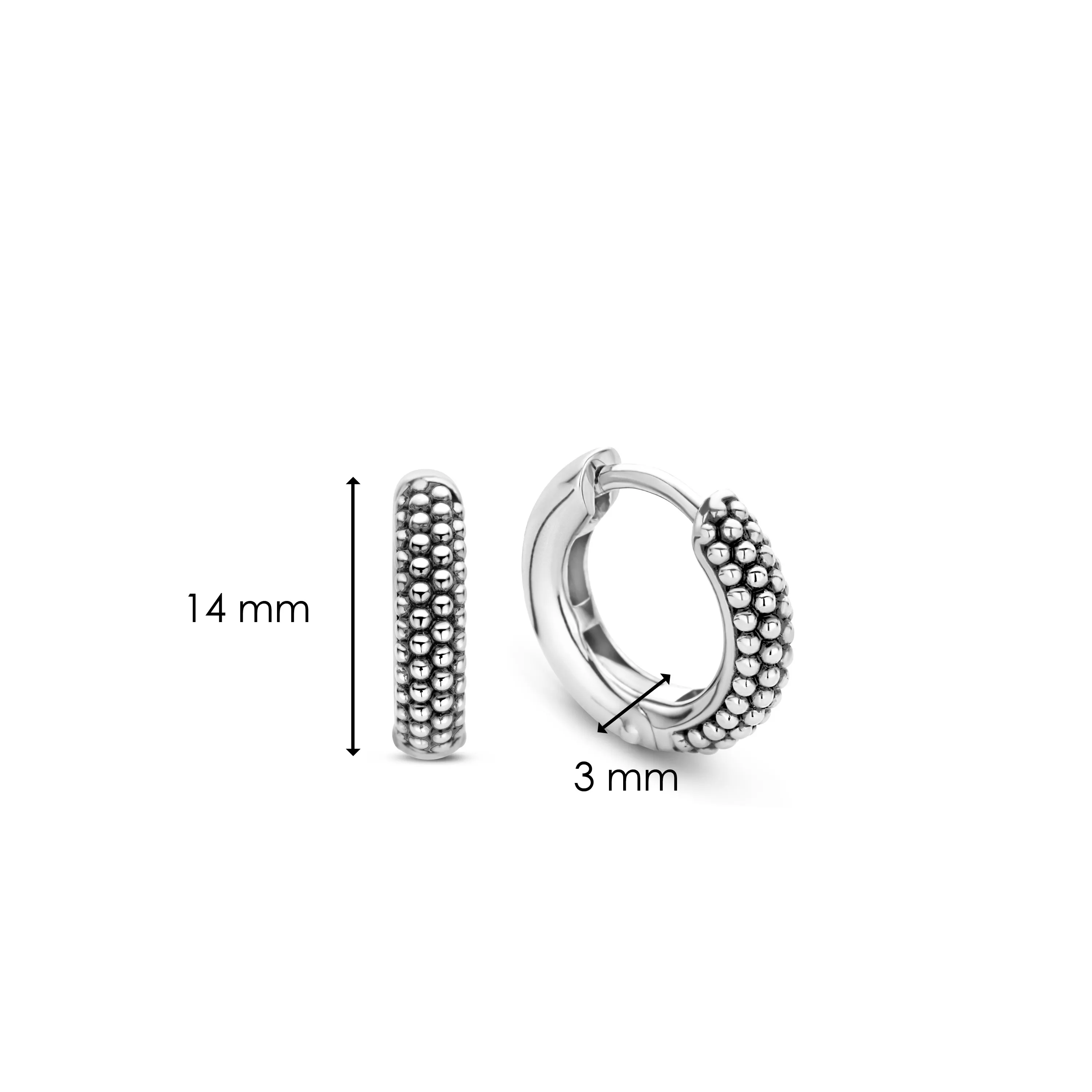 TI SENTO Earrings 7894SI